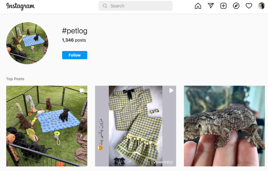 Pet log hashtag on Instagram