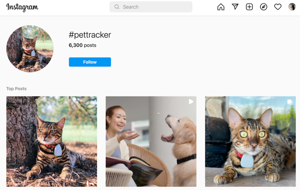 Pet tracker hashtag on Instagram